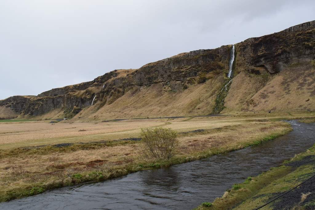 DSC_0754 - Copy.JPG