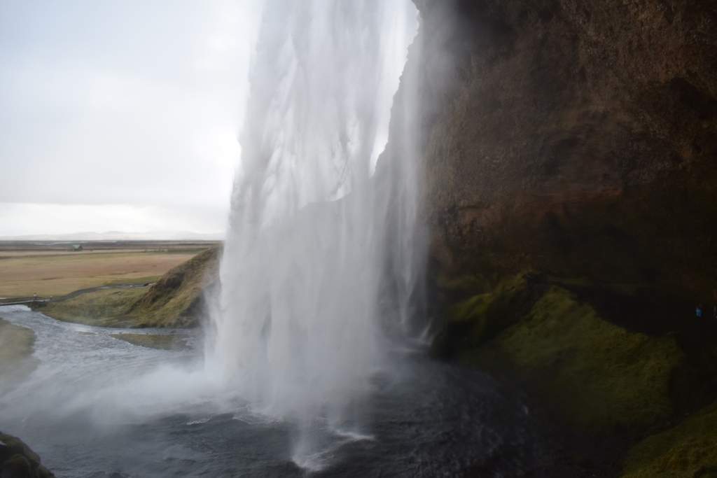 DSC_0909.JPG