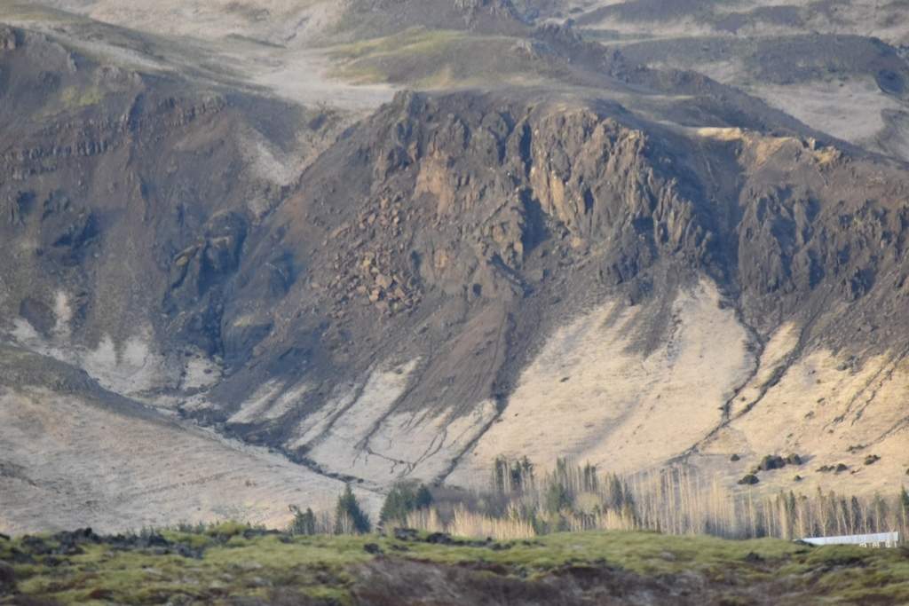 DSC_0987.JPG