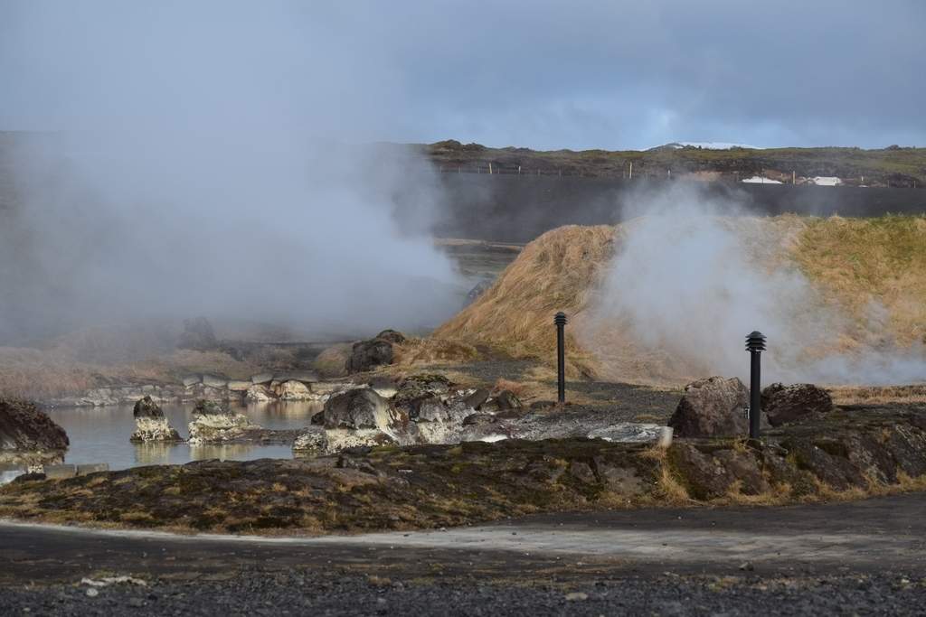 DSC_1002.JPG