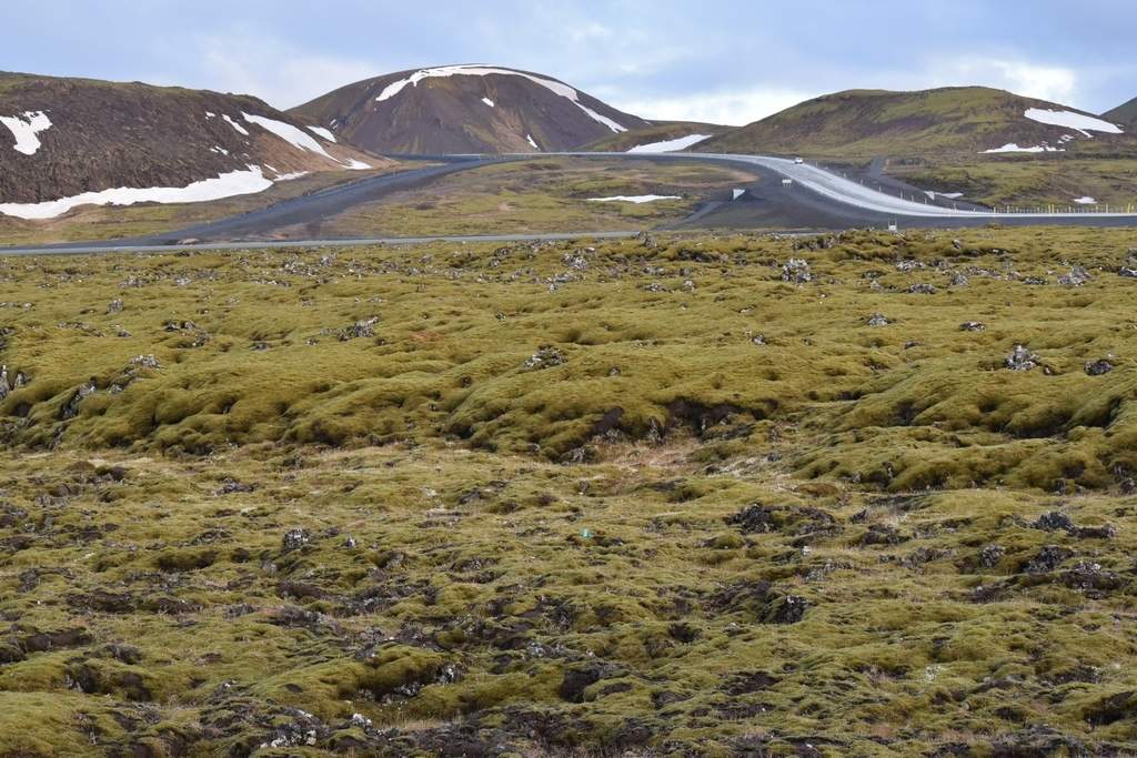 DSC_1027.JPG