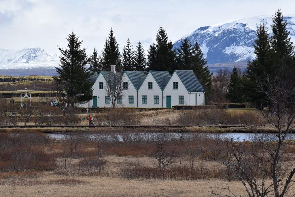 DSC_1111.JPG