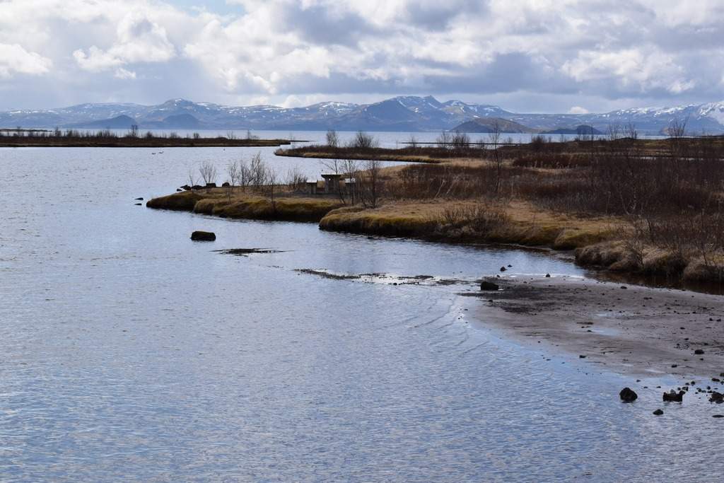 DSC_1116.JPG