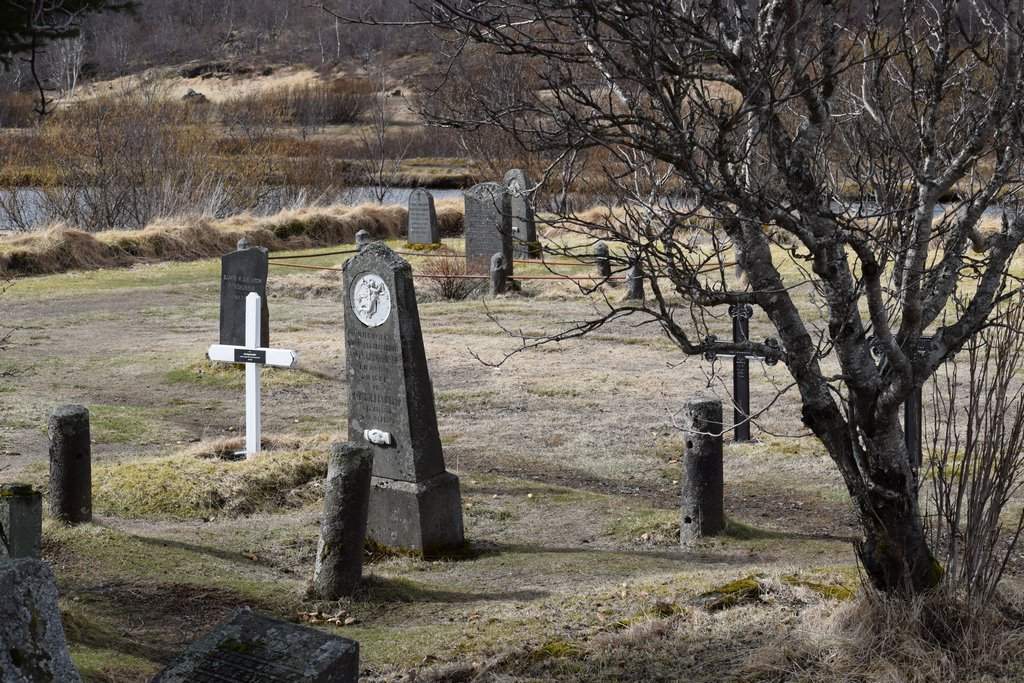DSC_1134.JPG