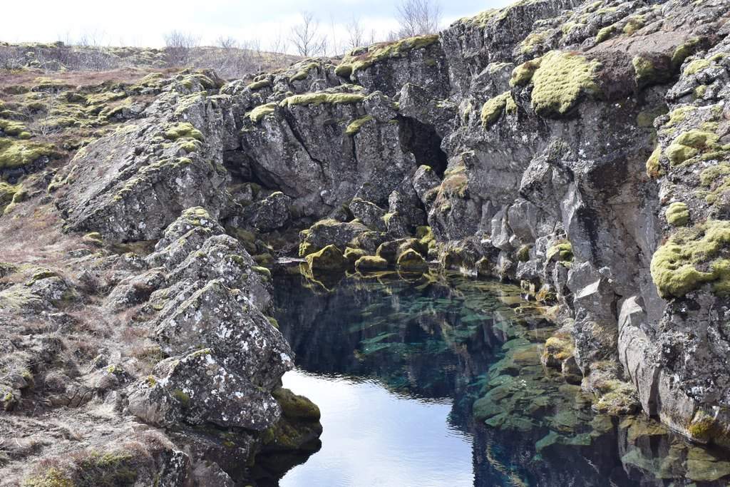 DSC_1155.JPG