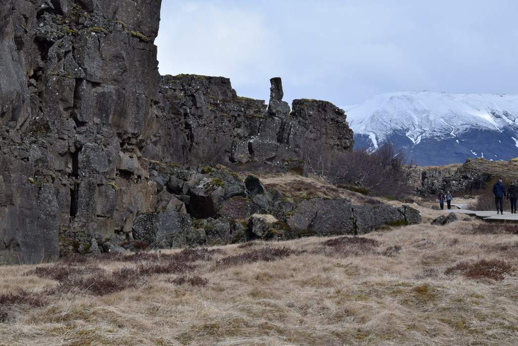 DSC_1182.JPG