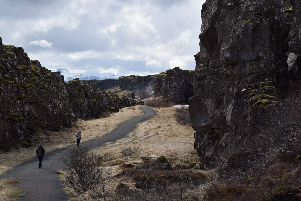 DSC_1199.JPG
