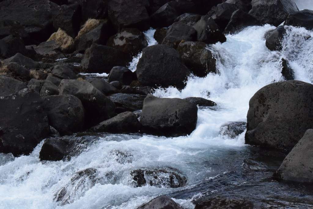 DSC_1220.JPG