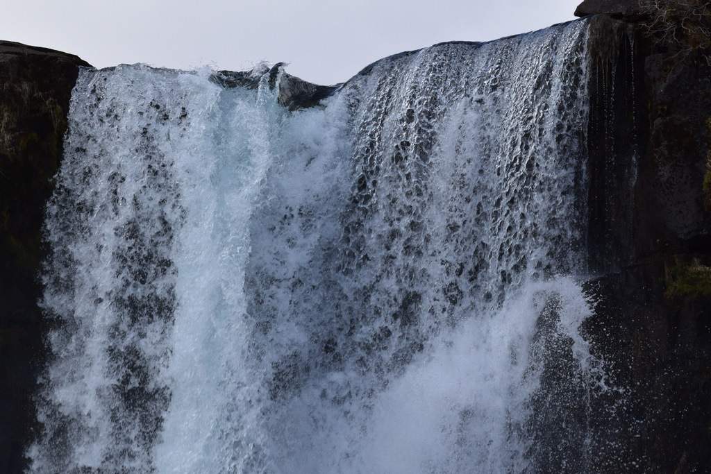 DSC_1225.JPG