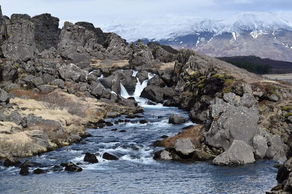 DSC_1275.JPG