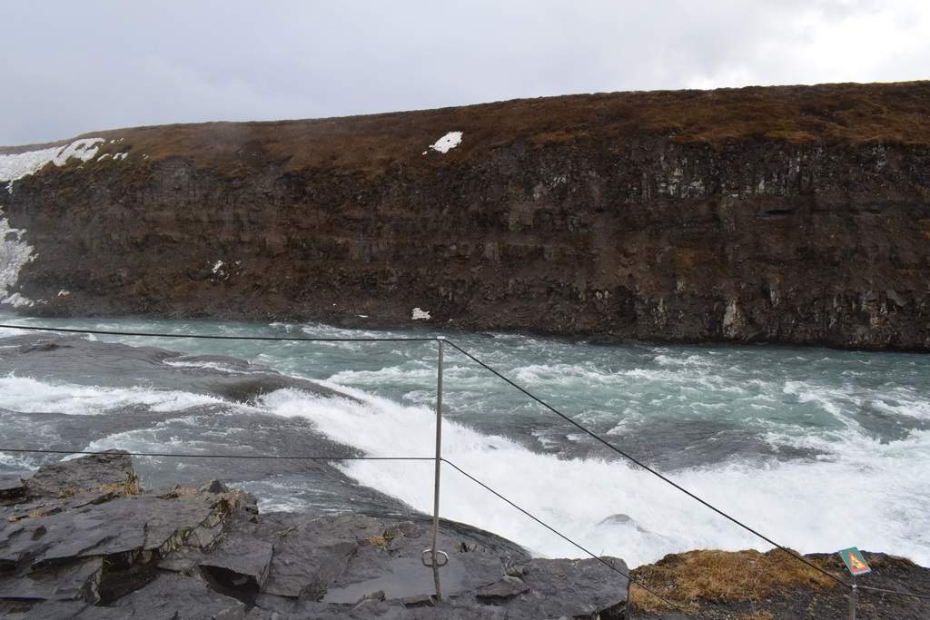 DSC_1463.JPG