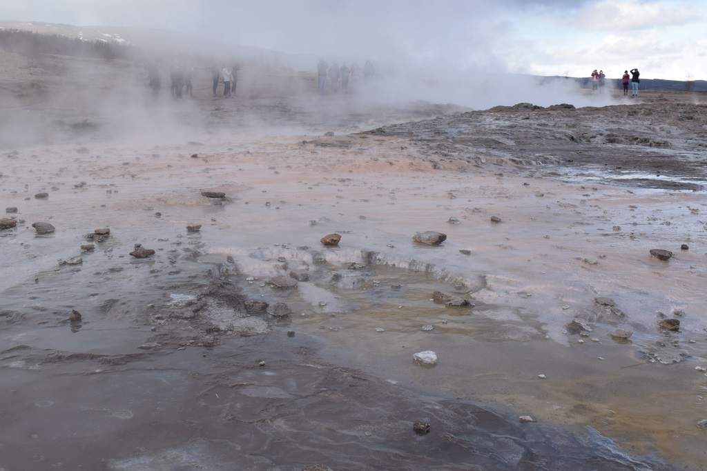 DSC_1645.JPG