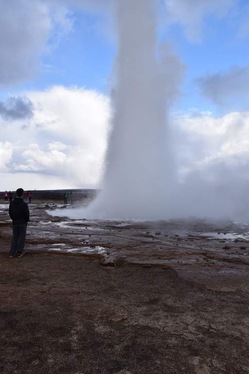 DSC_1646.JPG