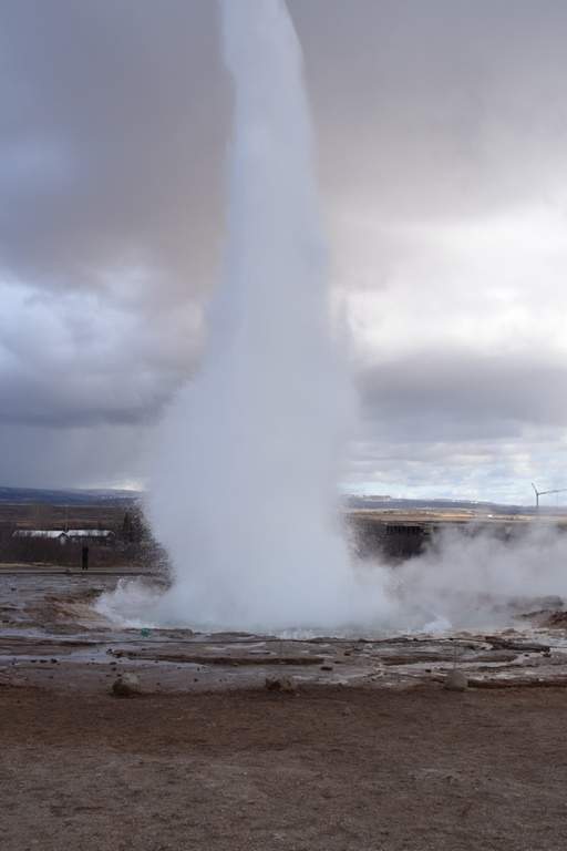 DSC_1683.JPG