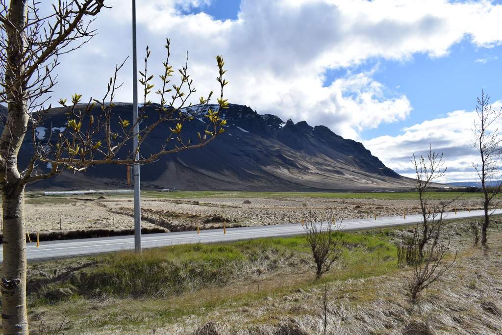 DSC_1774.JPG