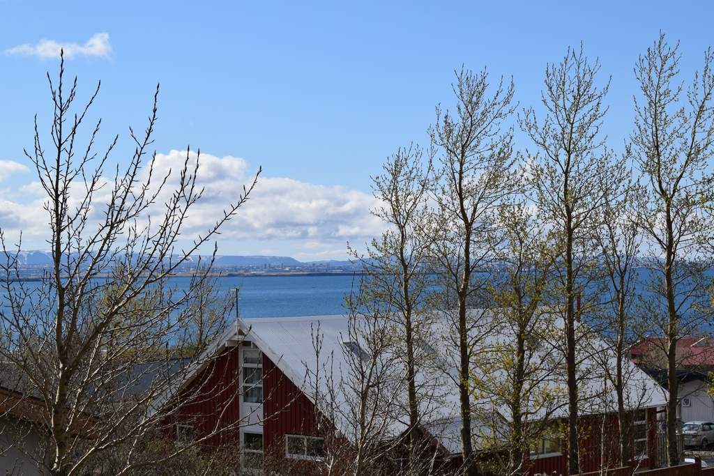 DSC_1781.JPG