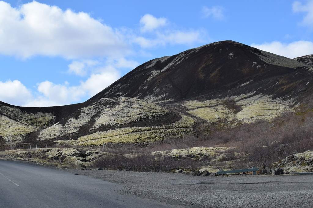 DSC_1805.JPG