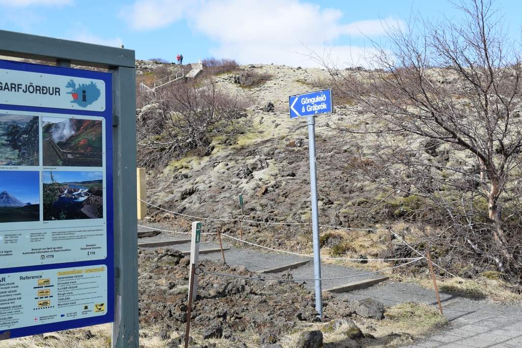 DSC_1806.JPG