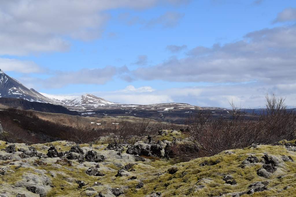 DSC_1810.JPG
