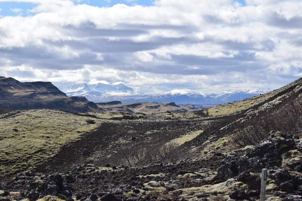 DSC_1816.JPG