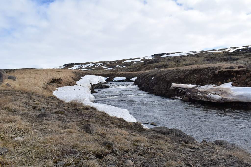 DSC_1829.JPG