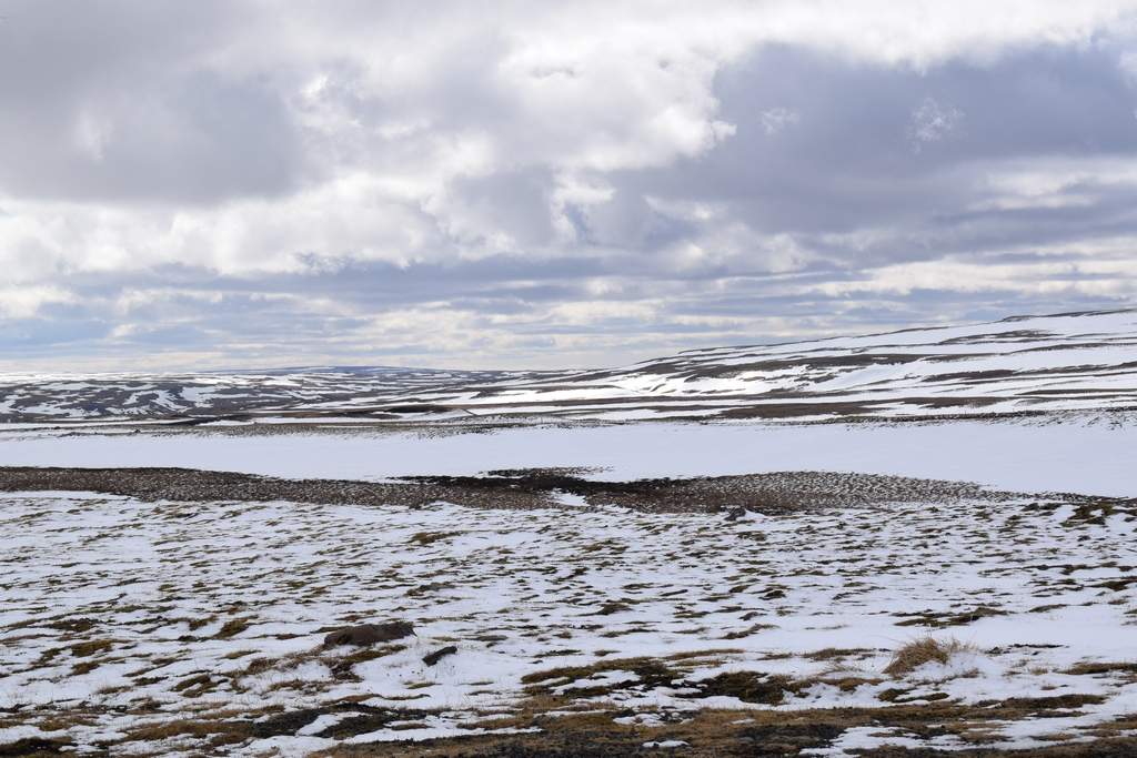 DSC_1837.JPG