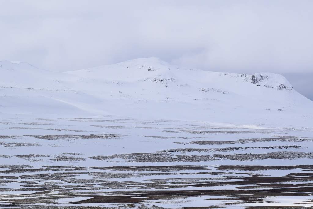 DSC_1842.JPG