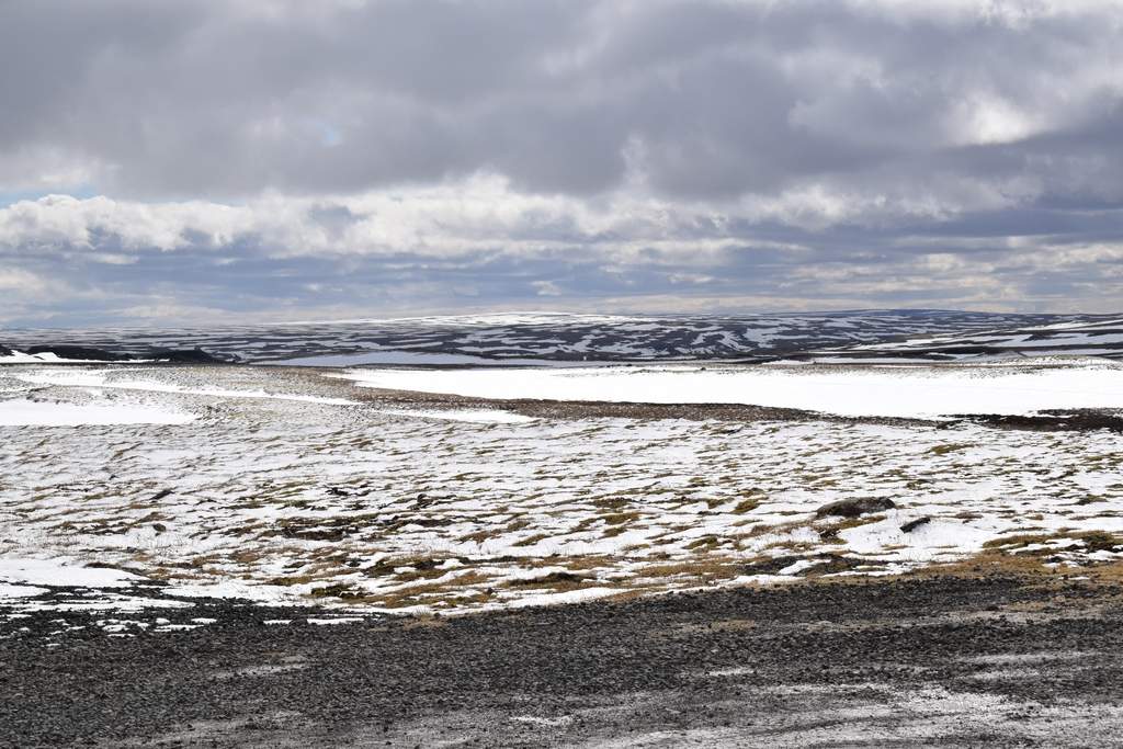 DSC_1845.JPG