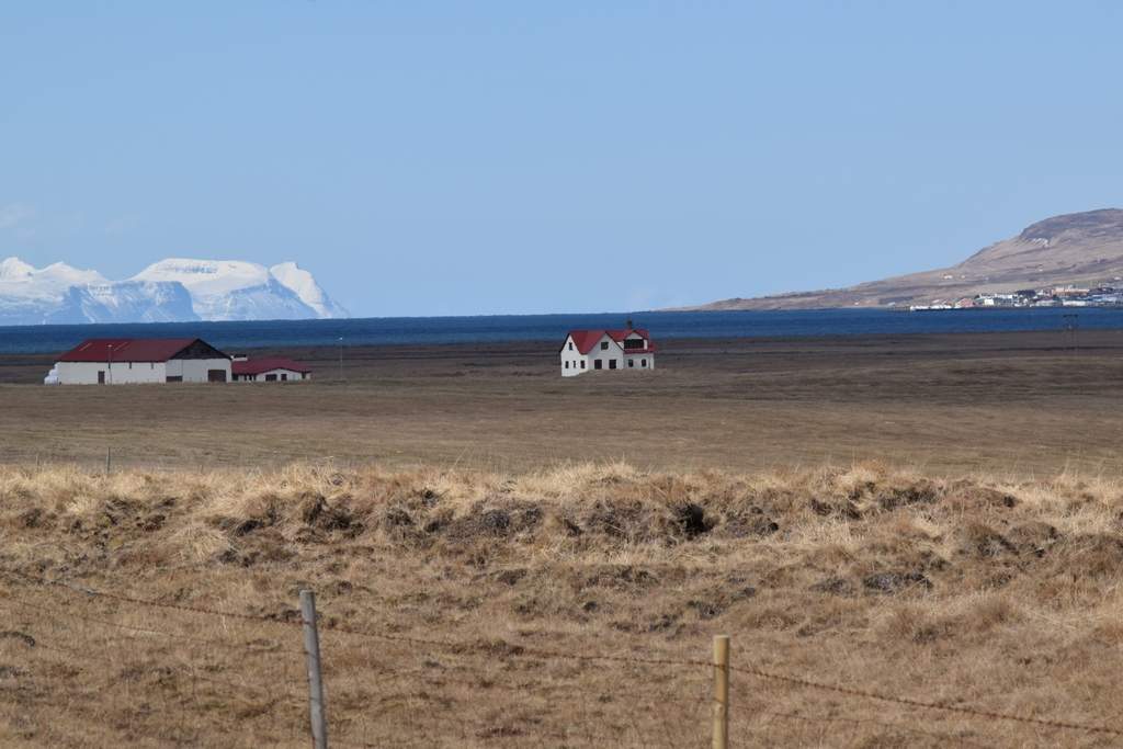 DSC_1853.JPG