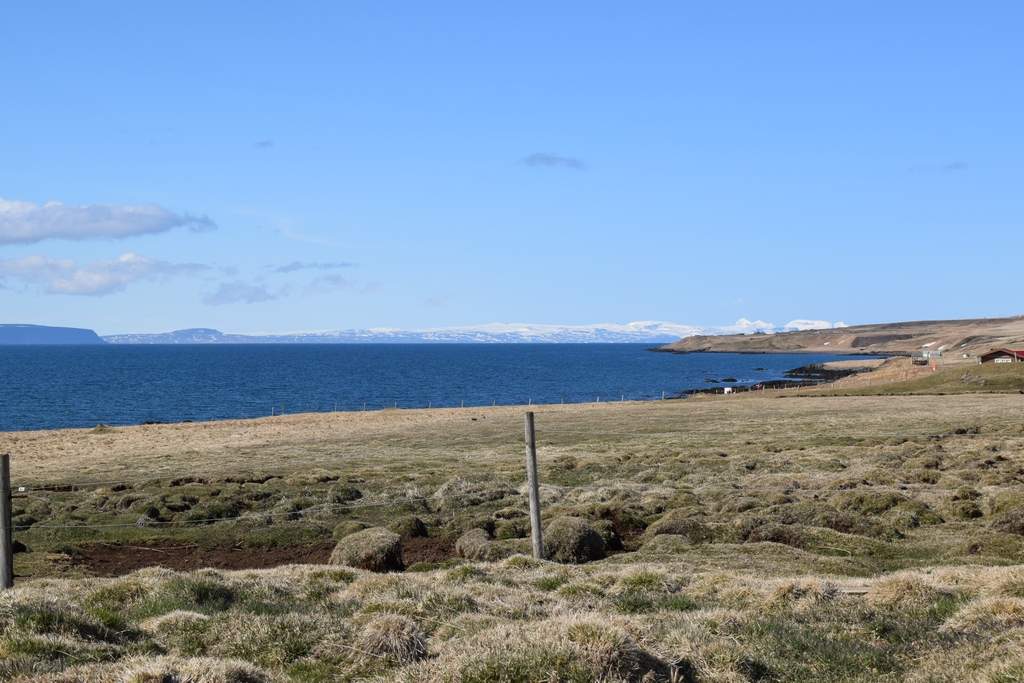 DSC_1855.JPG