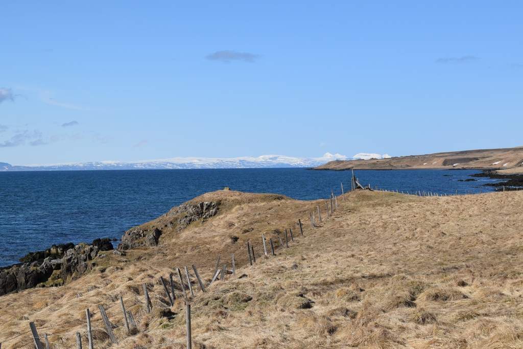 DSC_1860.JPG