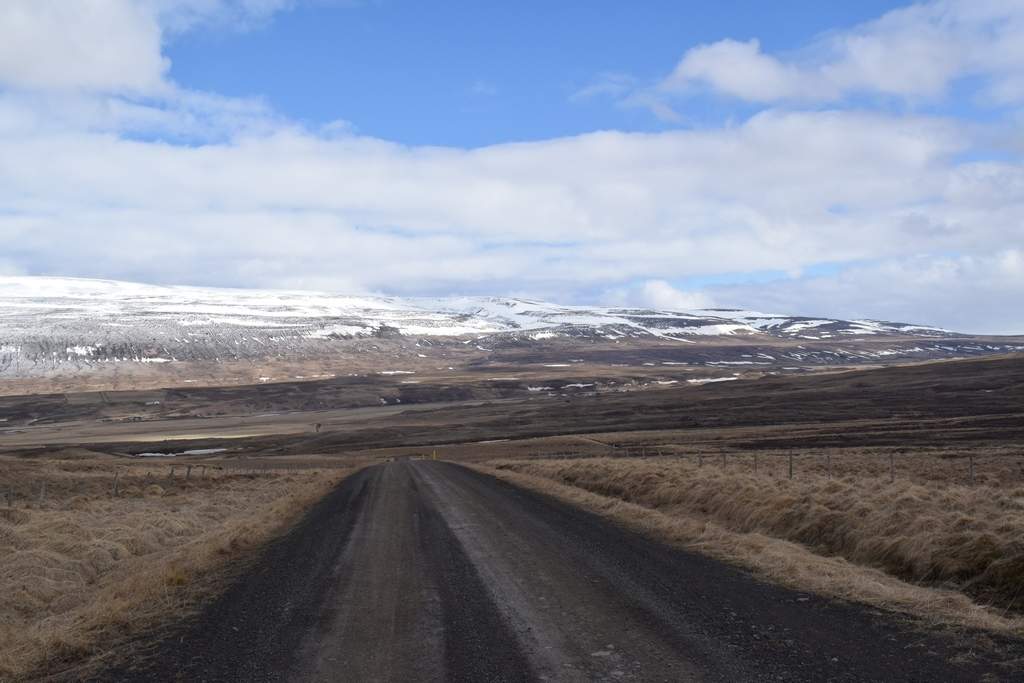 DSC_1879.JPG