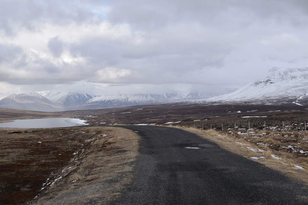 DSC_1972.JPG