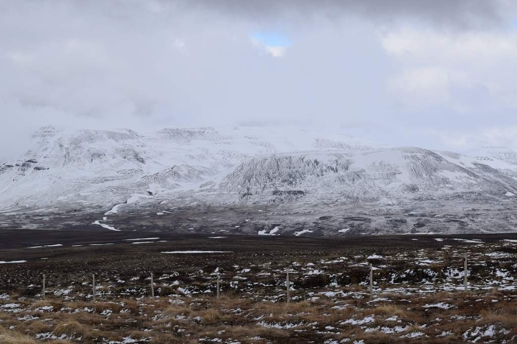 DSC_1977.JPG