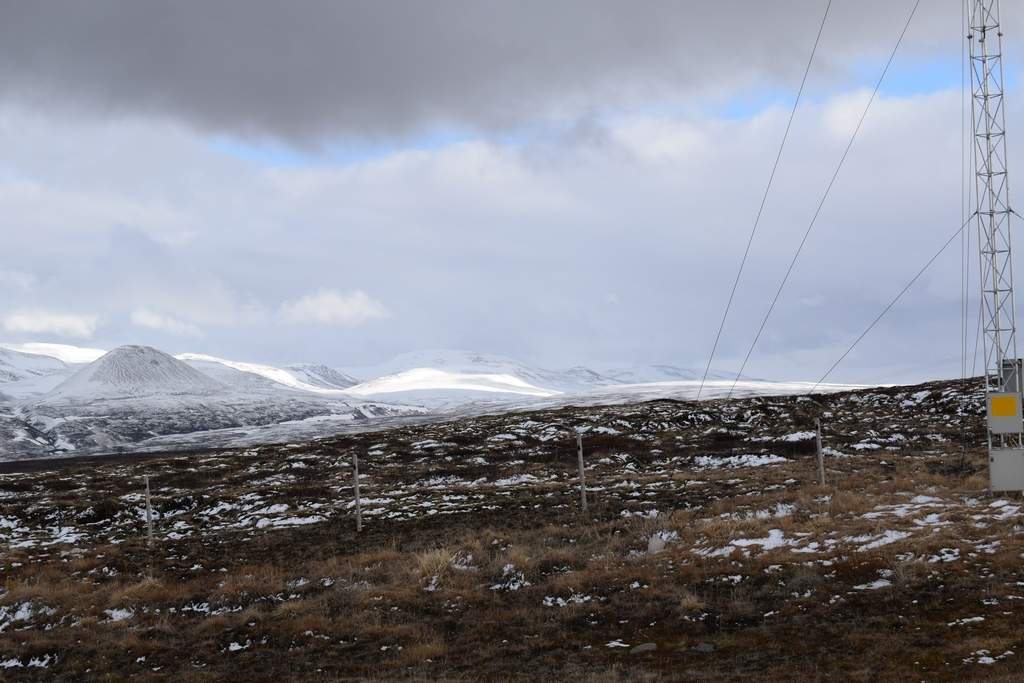 DSC_1981.JPG