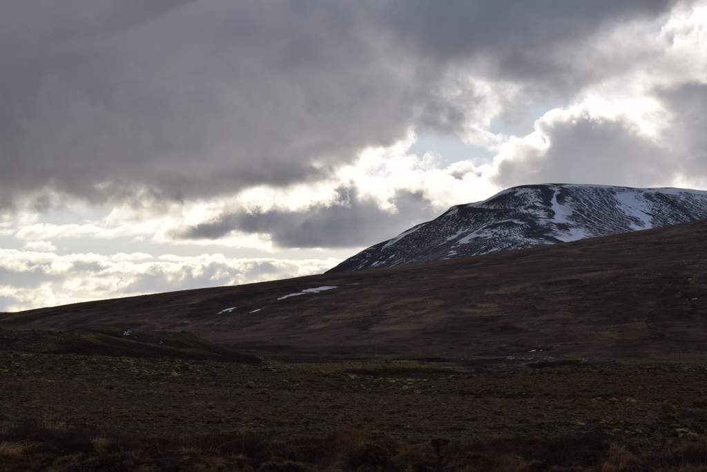 DSC_1984.JPG