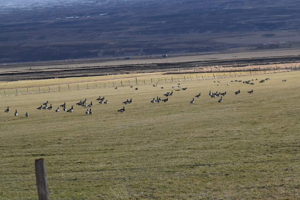 DSC_2030.JPG