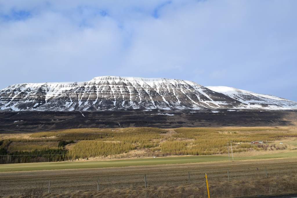 DSC_2035.JPG