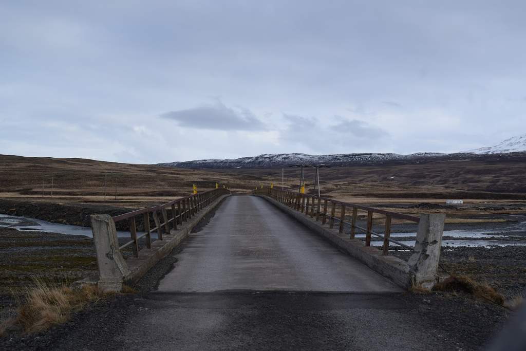 DSC_2049.JPG