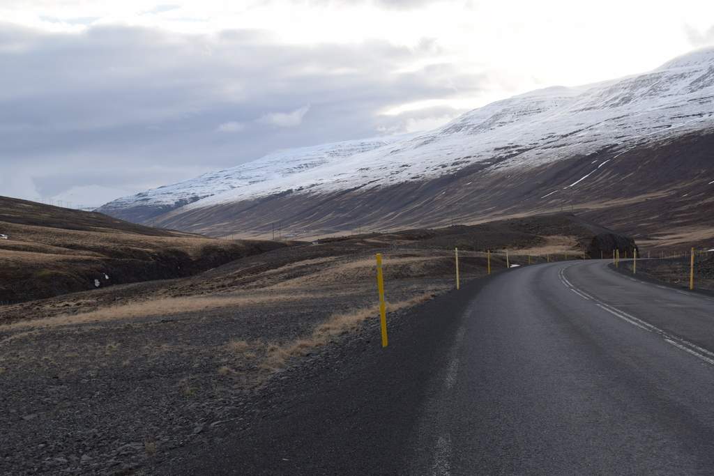 DSC_2061.JPG