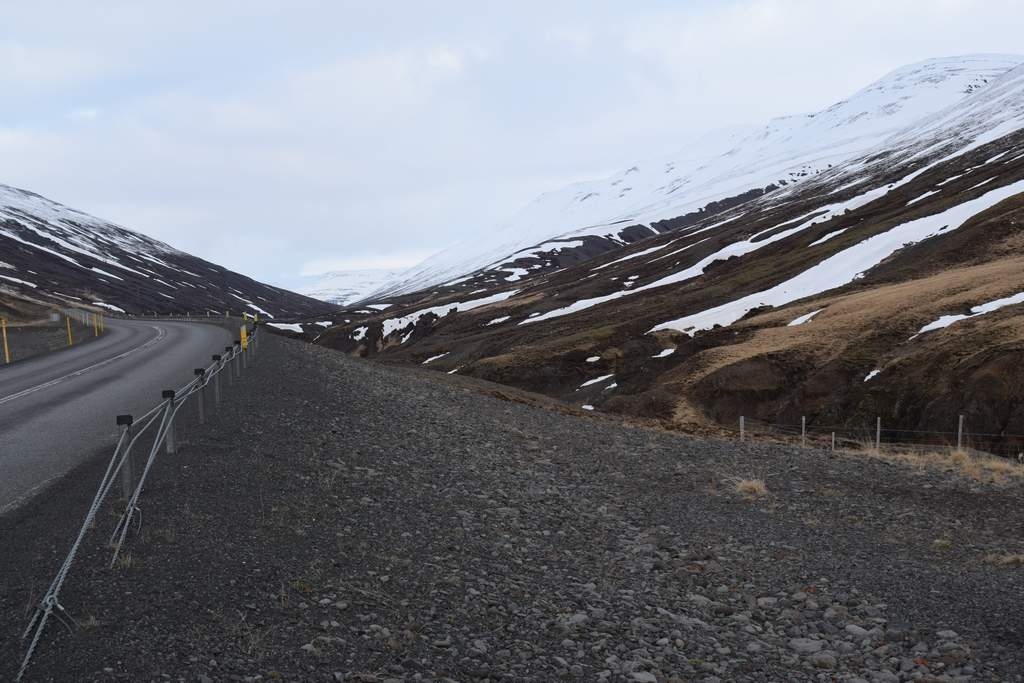 DSC_2064.JPG