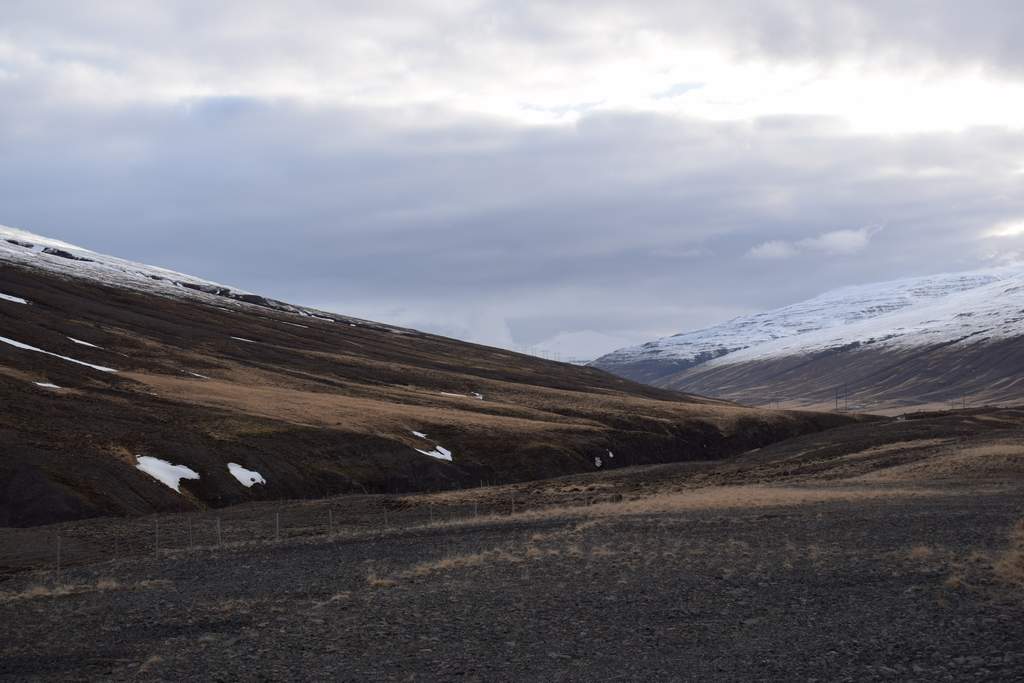 DSC_2067.JPG