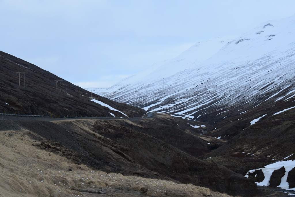 DSC_2075.JPG