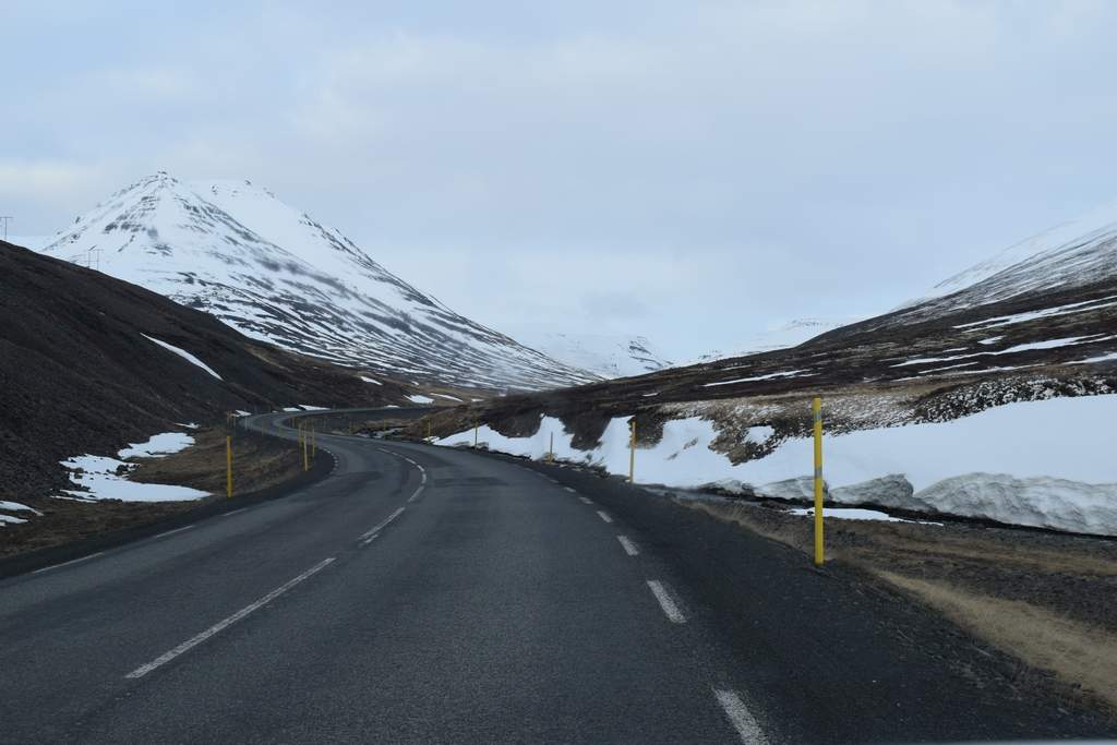 DSC_2081.JPG