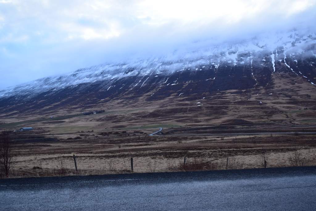 DSC_2090.JPG