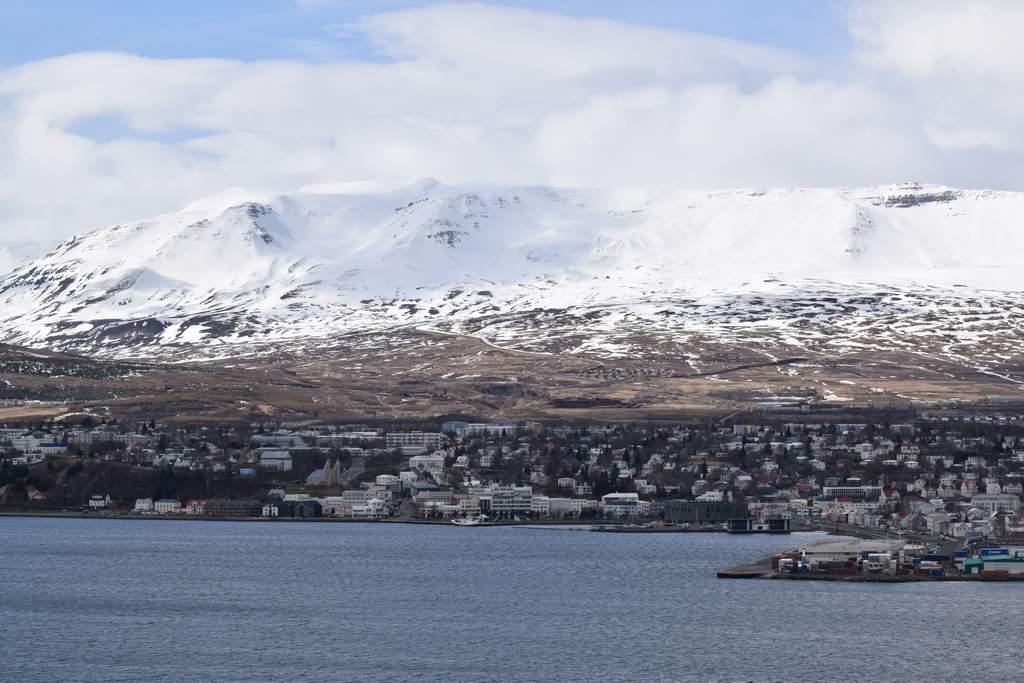 DSC_2105.JPG