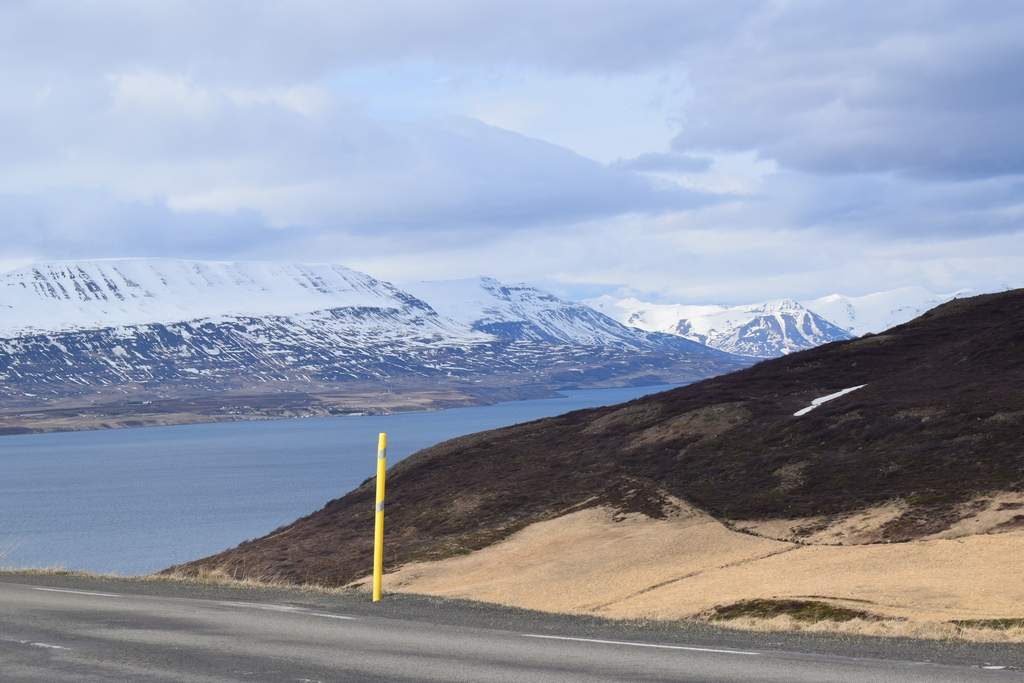 DSC_2115.JPG