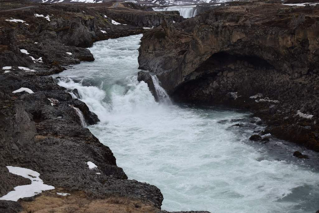 DSC_2186.JPG