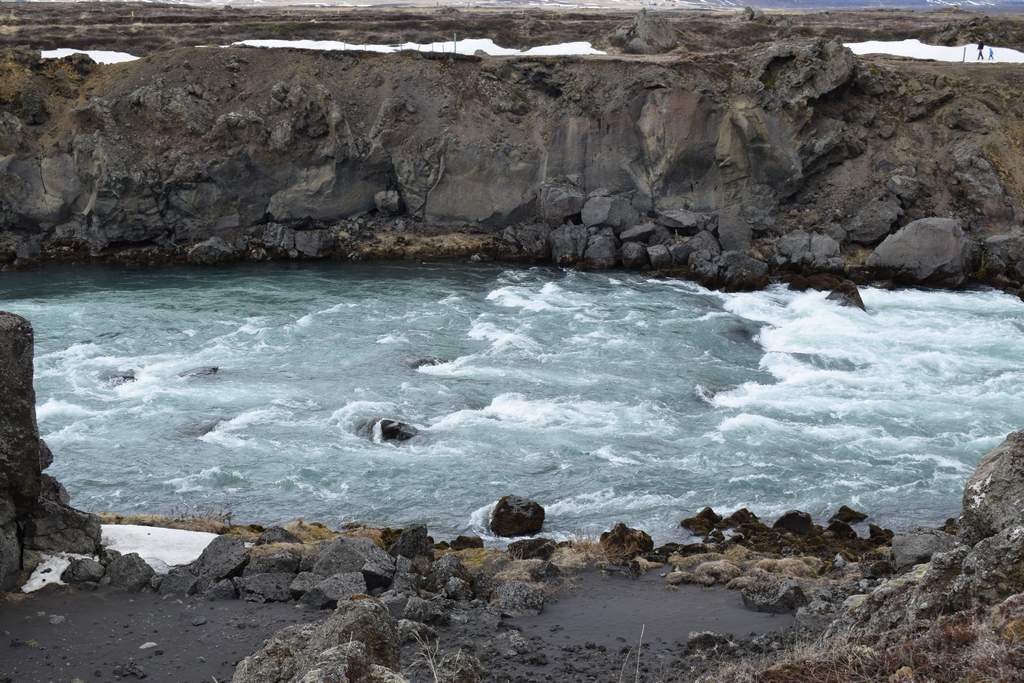 DSC_2198.JPG