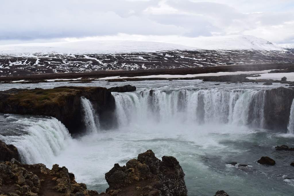 DSC_2200.JPG